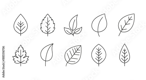 set of line leaf icons