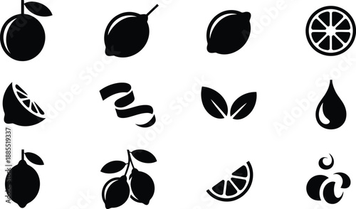 A collection of various black lemon and lime fruit silhouettes with slices and leaves on white