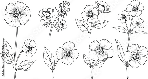 Placeholder image indicating a vector file with text 'vector file' on a clean white background