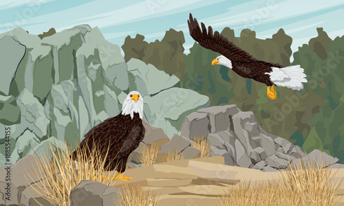 A pair of bald eagles in a mountain valley. Wild birds of prey in winter. Realistic vector landscape
