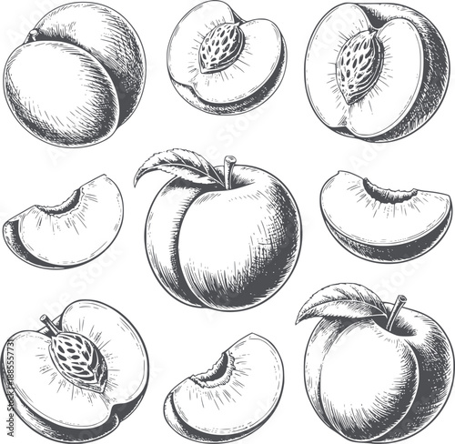 Black and of sliced and whole peaches with leaves fruit