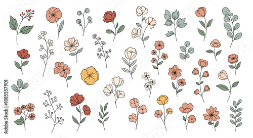 Hand-drawn Floral Collection: Delicate Botanical Illustrations with Vibrant Blooms and Greenery.
