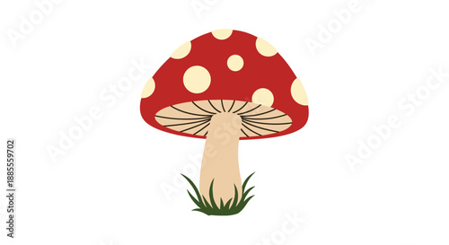Simple and classic illustration of a red toadstool mushroom with white spots, commonly known as fly agaric, growing in green grass.