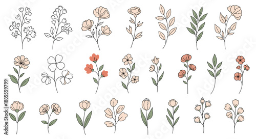 Collection of hand-drawn minimalist flowers and leaves with a delicate stitched outline, perfect for elegant and rustic designs.