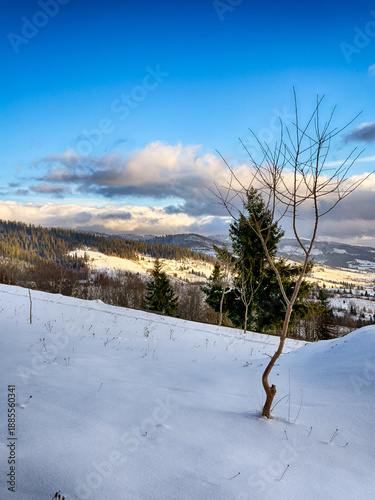 Mystical snowy Carpathian peaks under cloudy skies in the sunny weather