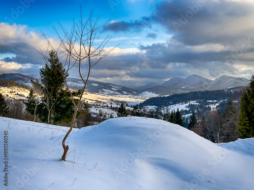 Mystical snowy Carpathian peaks under cloudy skies in the sunny weather