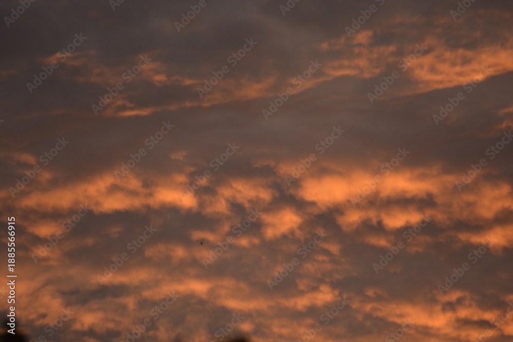 Fototapeta premium Orange dusk gradient with quilted cloud pattern