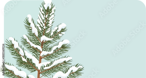 Close-up of a snow-covered pine branch against a soft blue background