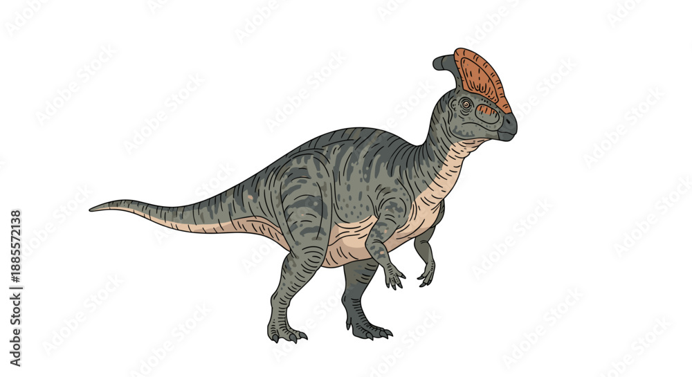 Obraz premium Detailed illustration of a Parasaurolophus dinosaur with a large head crest and green striped skin on white.