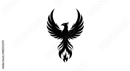 Black phoenix bird silhouette on white