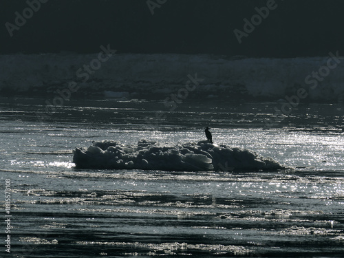 Drift ice on the Elbe in January