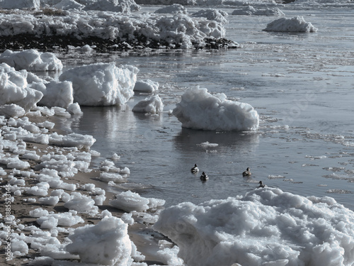 Drift ice on the Elbe in January