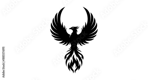 Black phoenix rising silhouette on white