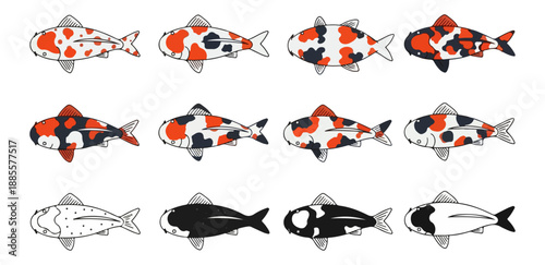 Colorful patterned fish illustrations on black background