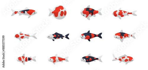 Colorful stylized koi fish illustrations against black background