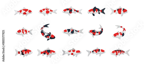 Koi fish illustration set with decorative patterns on black background