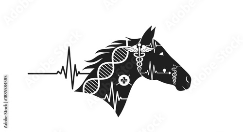 A cheerful woman works on her laptop, radiating positivity and focused energy. Perfect for illustrating remote work, digital lifestyle, or online lear