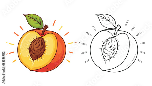 Comparison illustration of a ripe peach whole and halved with a pit shown in both colorful and line art styles.