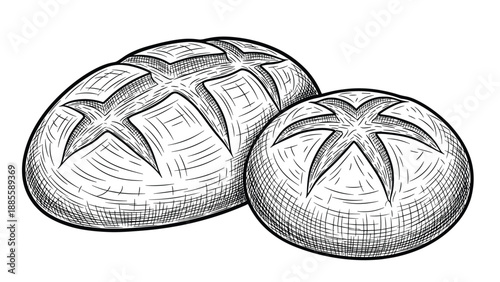 Detailed engraving of two fresh round loaves of crusty bread with decorative score marks for bakery and food themes.