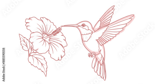 Close-up portrait of a cute Shar-Pei dog on a plain background.