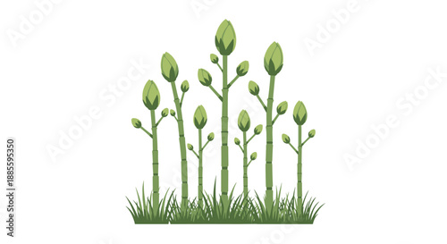 Fresh green bamboo shoots of varying heights growing naturally out of a lush green grass field on a white background.