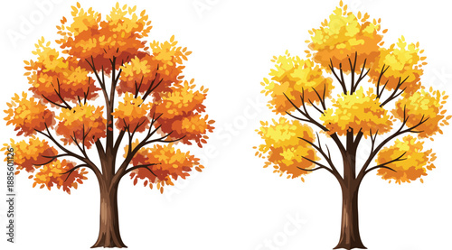 Autumn tree vector illustration with vibrant orange, red, and yellow foliage. Perfect for seasonal design, nature themes, fall decor, and botanical visuals