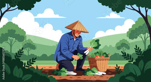 Vector illustration of an Asian farmer harvesting vegetables in a sunny field, symbolizing organic food production and daily rural agriculture life in flat vector style
