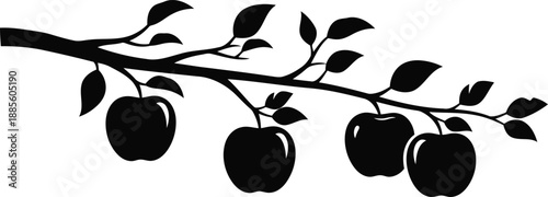 Apple branch vector silhouette with leaves and fruit isolated on white background