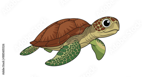 Illustration of a large sea turtle with a brown shell and green flippers swimming gracefully on a white background.