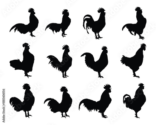 Collection of Rooster Silhouettes in Various Poses