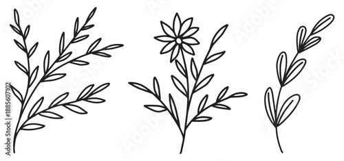 Set of detailed different flowers and branch frames editable stroke. Luxury line vintage floral collection for wedding invitation art, save the date card. Various botanical vector design. Decor templa