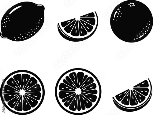 Citrus fruit vector silhouette set with lemon and orange slices for design