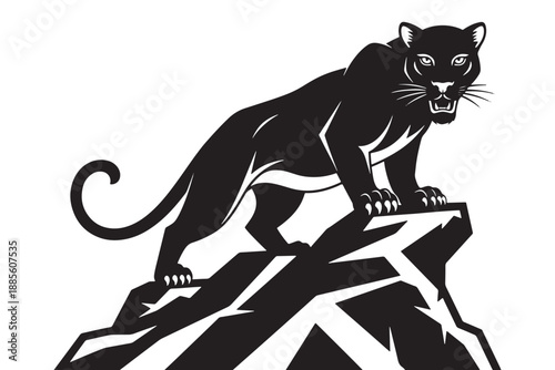 A black panther standing on a rocky outcrop with an aggressive expression