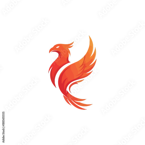 A vibrant orange phoenix bird rises with flowing wings and tail feathers on a white background.