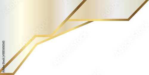 Luxury Metallic Curve Background