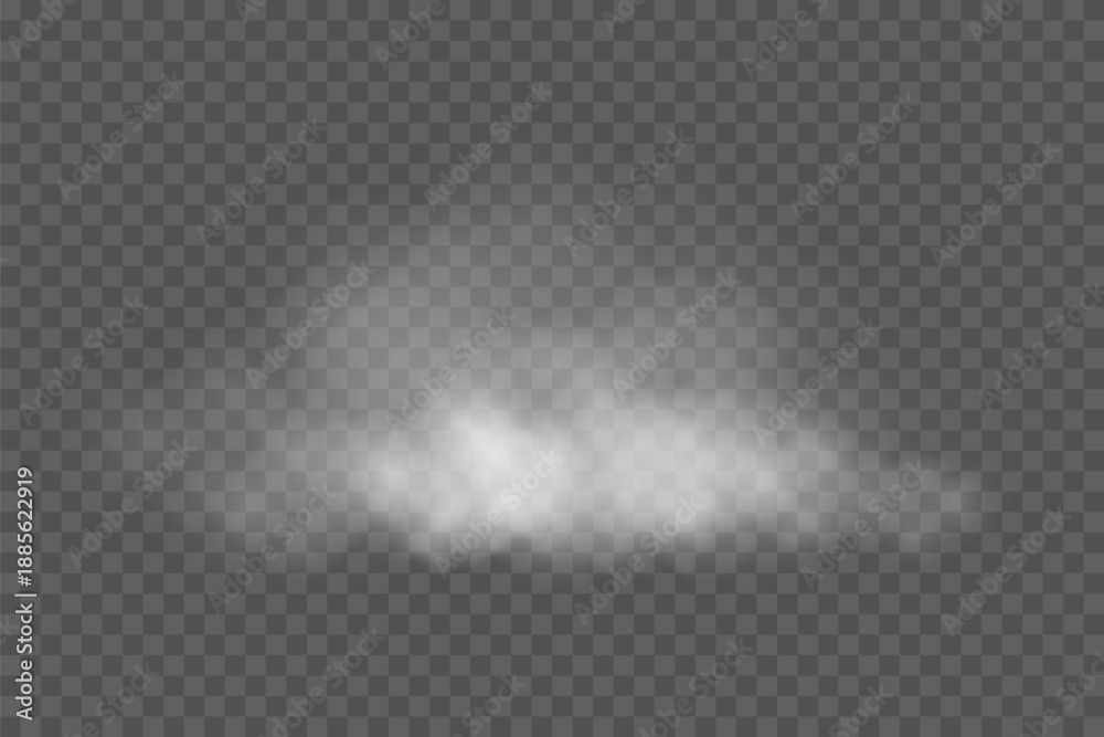 Fototapeta premium White cloud. Smoke shape on transparent background. Realistic fog texture with soft edges and natural diffusion. Atmospheric weather element. Realistic vector illustration.