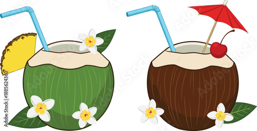 Tropical coconut drink vector illustration with fresh green and brown coconuts, straws, flowers and cocktail garnish isolated on white background for summer and beach design