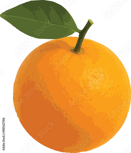 Orange with Green Leaf and Stem citrus fruit