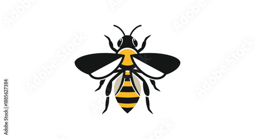 Bold, flat bee