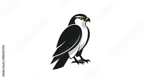 Sleek graphic of a black and white eagle, shown in profile