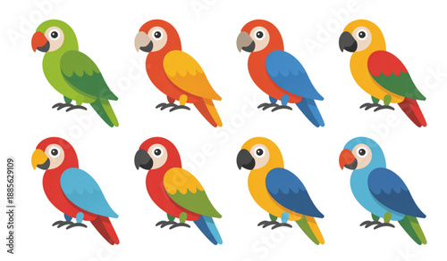 Colorful Cartoon Parrots Matching Game Puzzle Vector for Children