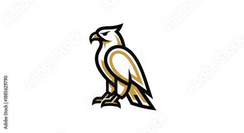 Gold eagle illustration