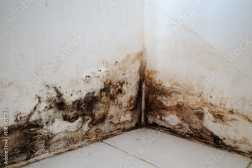 Canvastavla Detail of a dirty room corner showing the effects of moisture and leakage