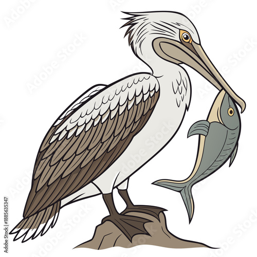 Pelican standing on rock holding fish in beak bird