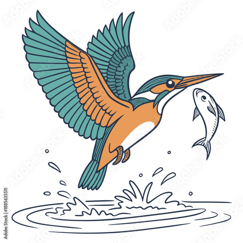 Kingfisher catching fish in mid air with water splashing