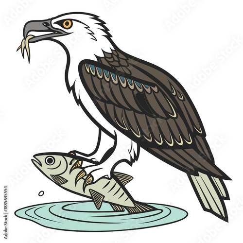 Of white and brown bird gripping fish in water white bird