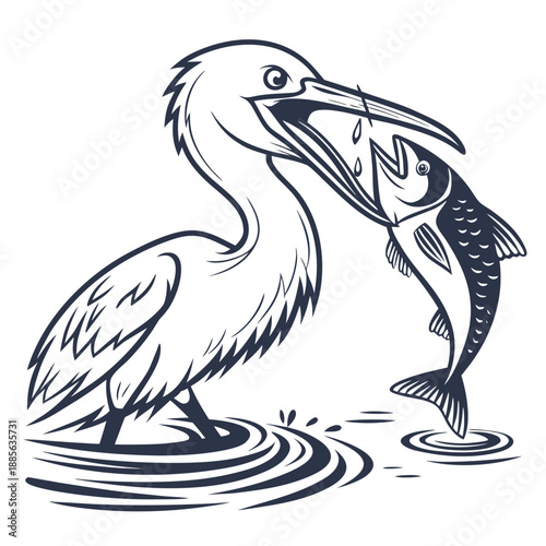 Pelican catching fish in water with ripples bird aquatic