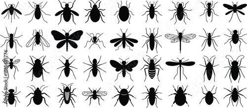 Insect silhouette icons set showing flies, bees, wasps, mosquitoes, beetles, bugs black vector collection isolated on white background