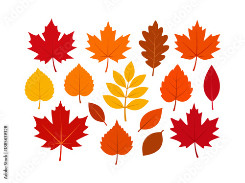 Autumn leaves set displaying various fall foliage