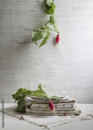 Obraz na plátně An ironic still life with radishes on a light background